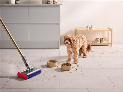 Aspirateur laveur Dyson V12s Detect Slim Submarine 545 W Gris